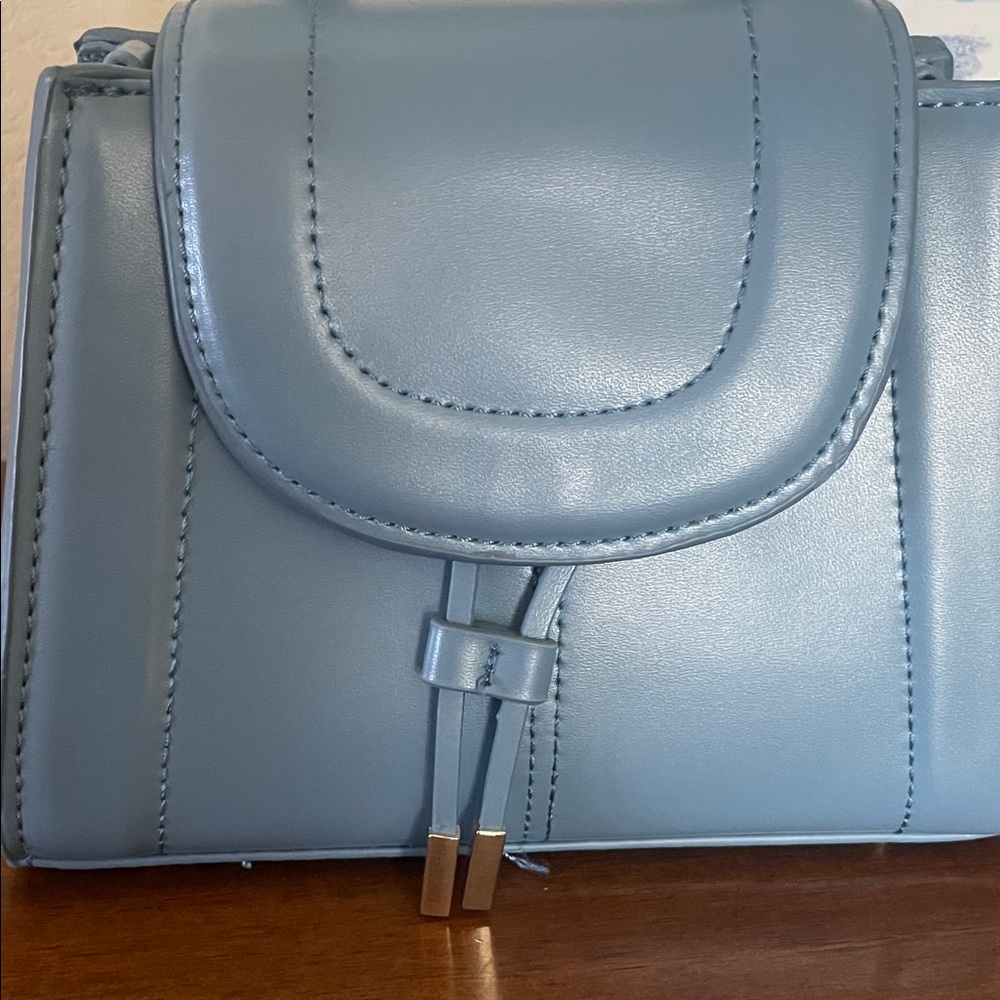 Zara Light Blue Mini Bag